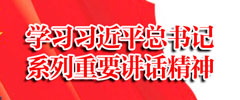 學(xué)習(xí)習(xí)近平總書記系列重要講話精神