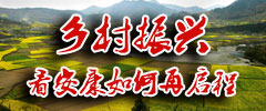 鄉(xiāng)村振興-看安康如何再啟程