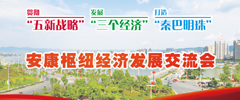 安康樞紐經(jīng)濟(jì)發(fā)展交流會(huì)