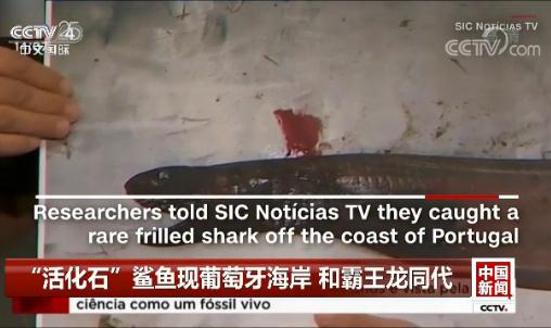 ���ʯ�����~�F(xi��n)���������� �Ͱ�����ͬ��