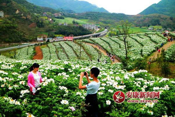 陳榮斌攝.jpg