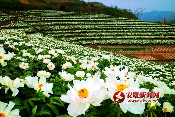 陳榮斌 攝（4.1）.jpg