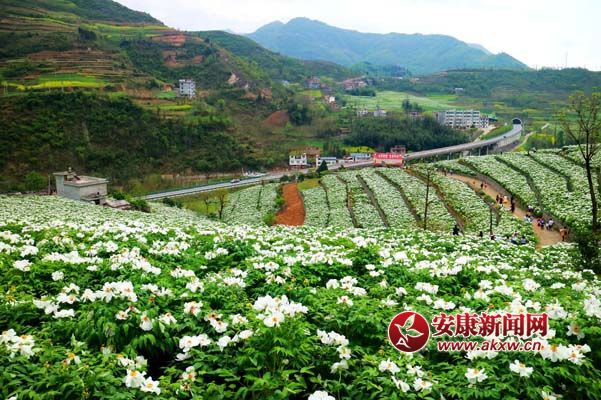 陳榮斌  攝.jpg