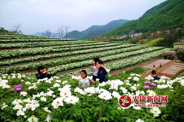 陳榮斌 攝4.1.jpg