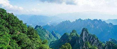 保護(hù)秦嶺生態(tài) 呵護(hù)綠色發(fā)展