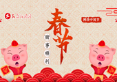 2019網(wǎng)絡(luò)中國(guó)節(jié)-春節(jié)