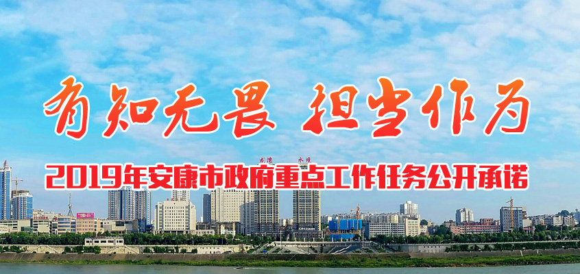 2019政府公開(kāi)承諾