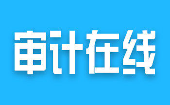 安康審計(jì)在線