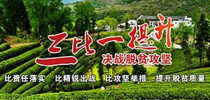 三比一提升