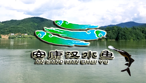 安康漢水魚