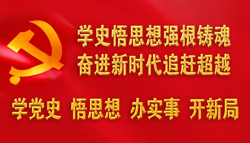 學(xué)黨史 悟思想 辦實事 開新局