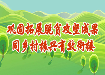 鞏固拓展脫貧攻堅成果同鄉(xiāng)村振興有效銜接