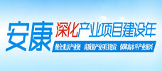 深化產(chǎn)業(yè)項(xiàng)目建設(shè)年
