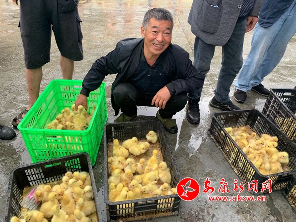 龍泉村民領(lǐng)取鵝苗滿面笑容.jpg