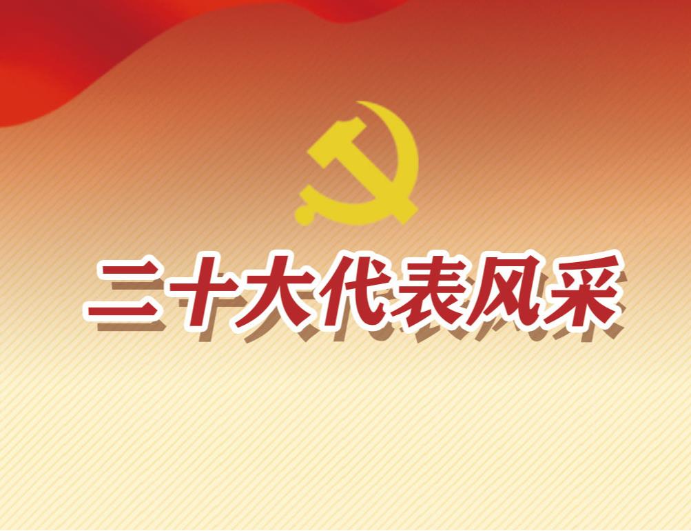 二十大代表風(fēng)采
