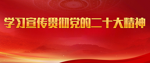 學(xué)習(xí)宣傳貫徹黨的二十大精神
