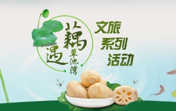 “藕”遇草池灣文旅系列活動