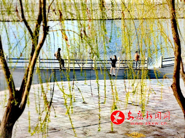 春和景明