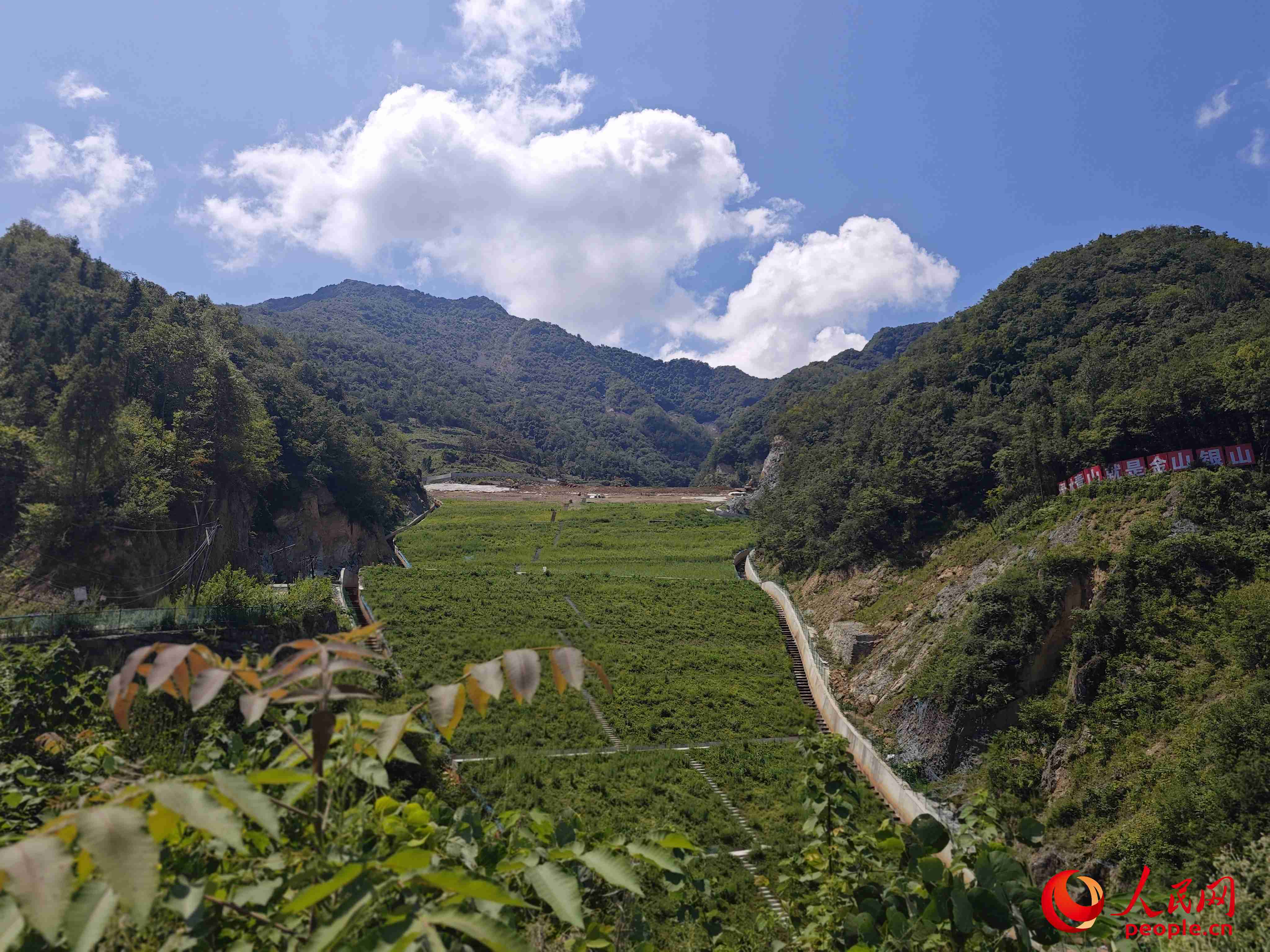 已部分復(fù)綠的貯存場(chǎng)。人民網(wǎng)記者 黃鈺攝