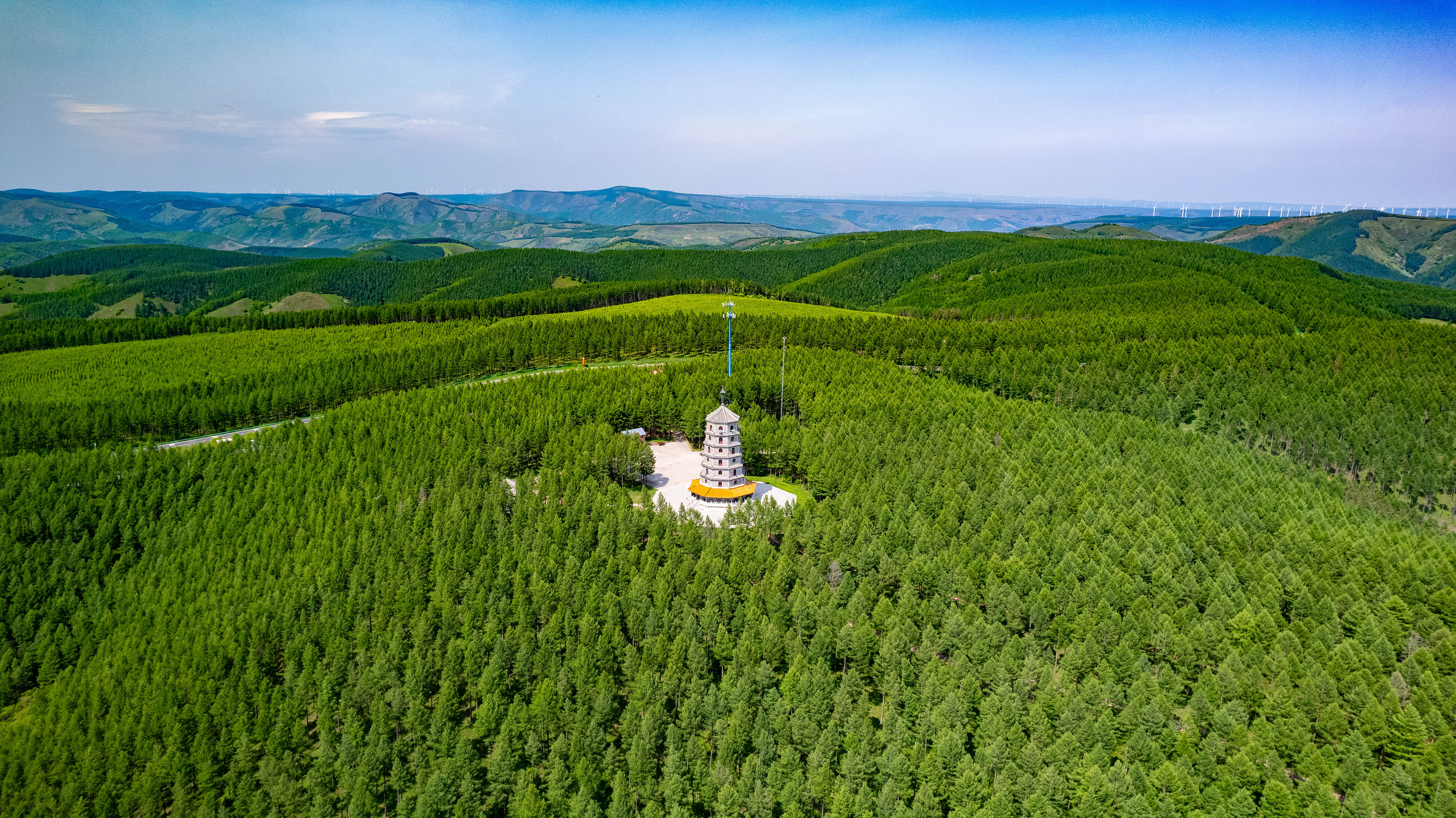 2025年6月11日，河北承德，塞罕壩林海浩渺。